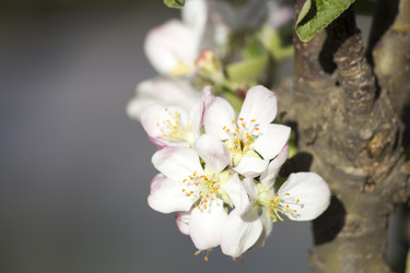 Similar image 13287699