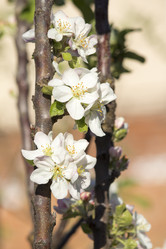 Similar image 13287702