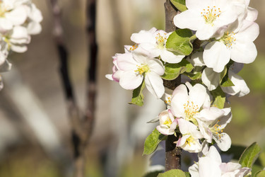 Similar image 13287703