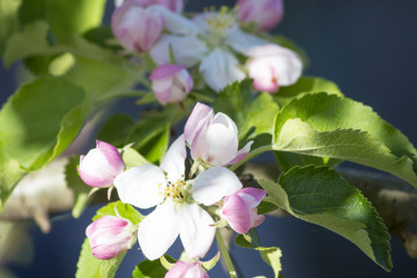 Similar image 13287729