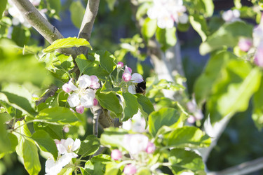 Similar image 13288178