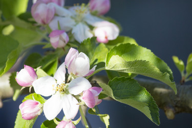 Similar image 13288179