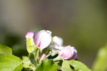 Similar image 13288180