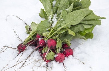 Similar image 13288117