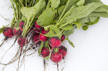 Similar image 13288118