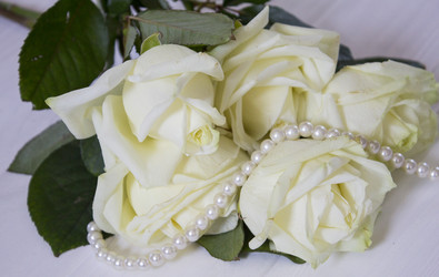 Similar image 13288119