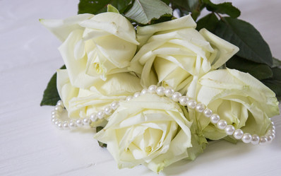 Similar image 13288120