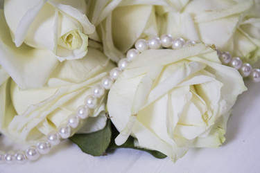 Similar image 13288121