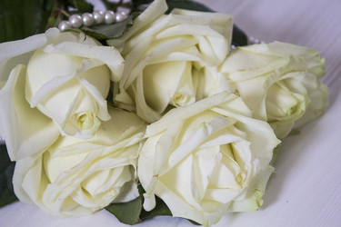 Similar image 13288122