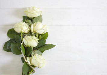 Similar image 13288123