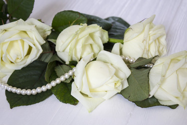 Similar image 13288124