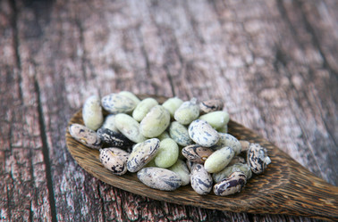 Similar image 13288754