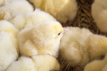 Similar image 13288208