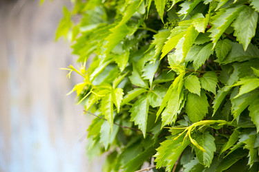 Similar image 13288167