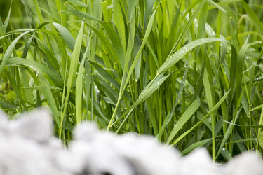 Similar image 13288169