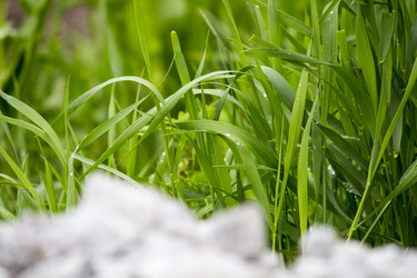 Similar image 13288173