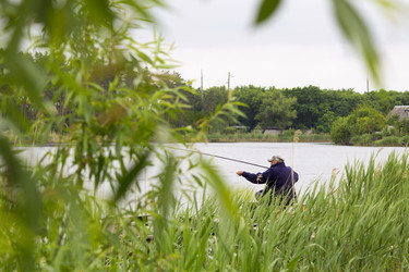 Similar image 13288194