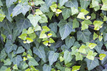 Similar image 13288214