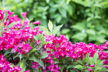 Similar image 13288215