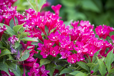 Similar image 13288216