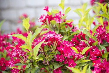 Similar image 13288224