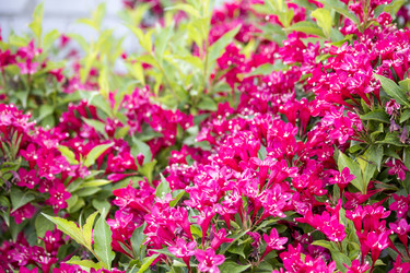 Similar image 13288226