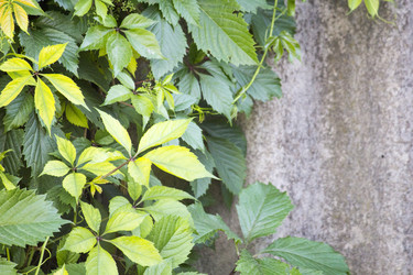 Similar image 13288228