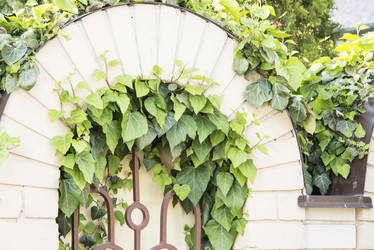 Similar image 13288199