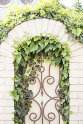 Similar image 13288200