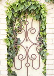 Similar image 13288205