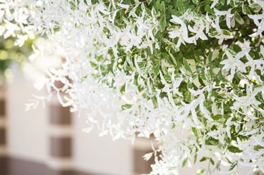 Similar image 13288209