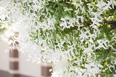 Similar image 13288220