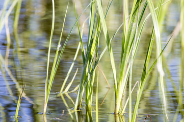 Similar image 13288222