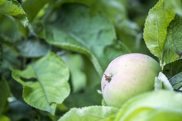 Similar image 13288057