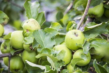 Similar image 13288058