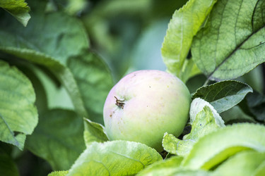 Similar image 13288059