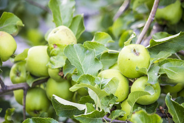 Similar image 13288060