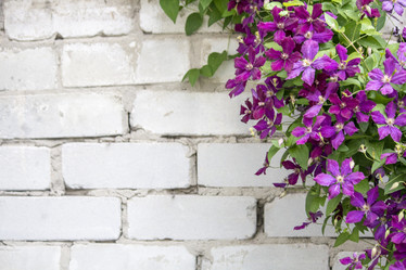 Similar image 13288072