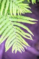 Similar image 13288093