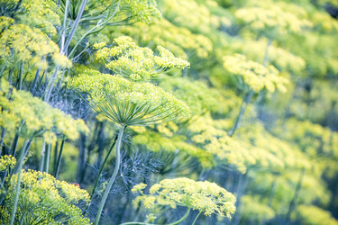 Similar image 13288097