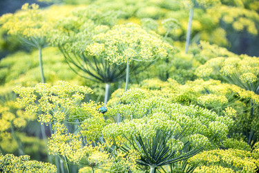 Similar image 13288099