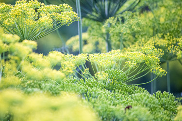 Similar image 13288100