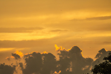 Similar image 13288111