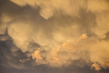 Similar image 13288132