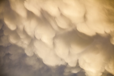 Similar image 13288134