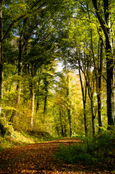 Similar image 13288980