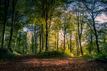 Similar image 13288981