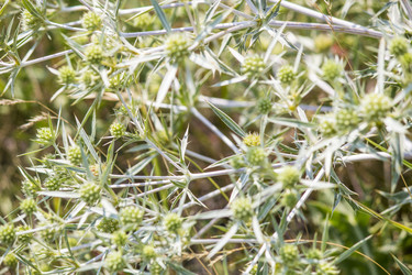 Similar image 13288950