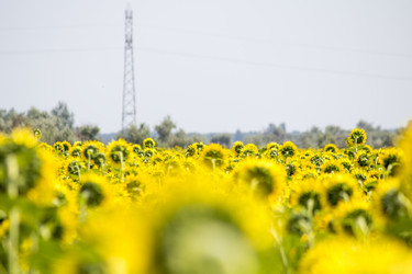 Similar image 13288953