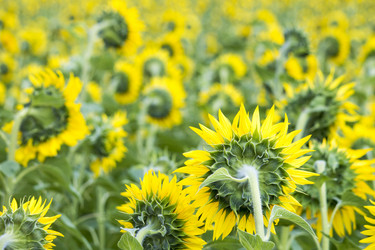 Similar image 13288958